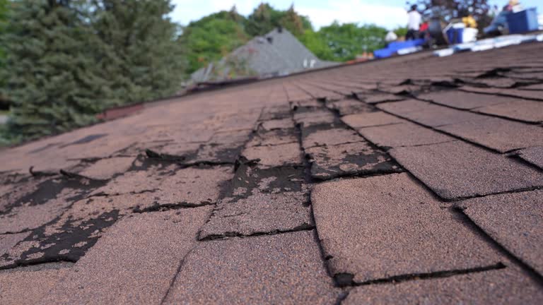 Best Roof Ventilation Installation  in Ceres, CA