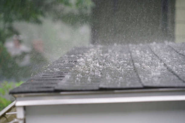 Best Roof Moss and Algae Removal  in Ceres, CA
