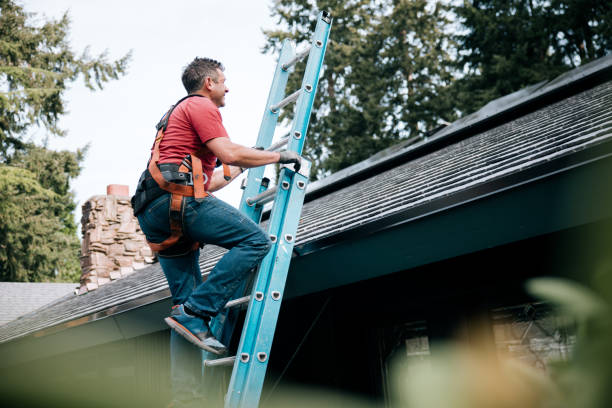 Best Roof Maintenance and Cleaning  in Ceres, CA